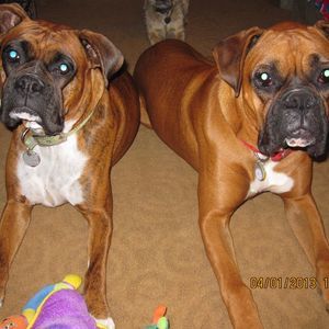 Meet your Posher, Sue